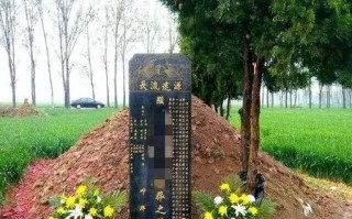 选树栽树常识（选树苗有什么要求）