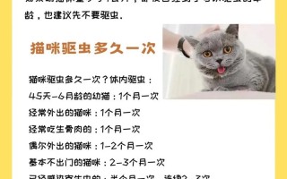猫咪驱虫常识，猫咪驱虫顺序及注意事项