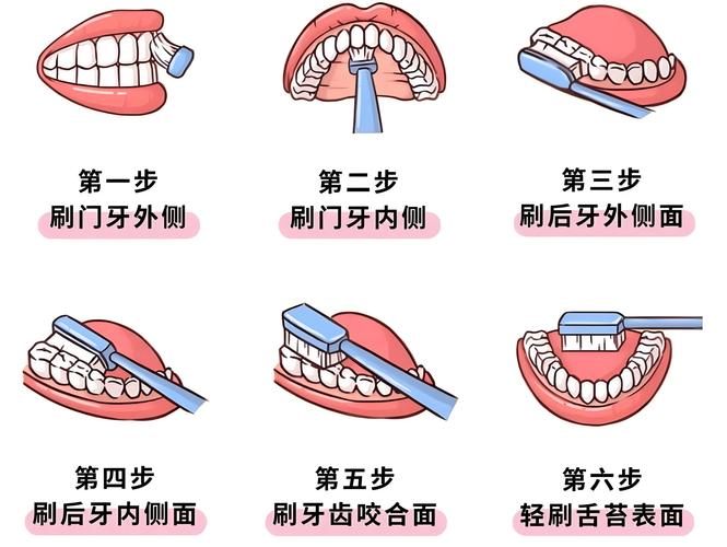 天天刷牙常识 - 天天刷牙的好处-第8张图片-牛逼常识网 天天刷牙常识 - 天天刷牙的好处-第8张图片-牛逼常识网