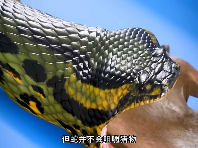 厄尔尼诺常识（厄尔尼诺现象分析）-第1张图片-牛逼常识网