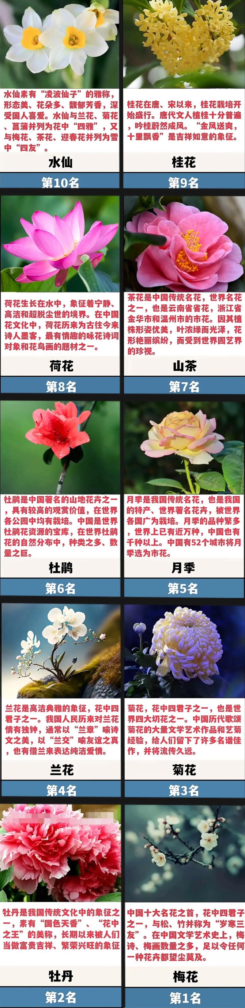 花卉文化常识(花卉知识总结)-第6张图片-牛逼常识网 花卉文化常识(花卉知识总结)-第6张图片-牛逼常识网