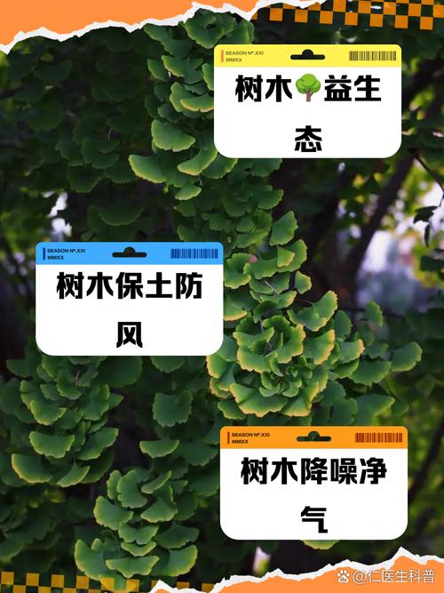 关于植树常识 - 关于植树节的常识-第5张图片-牛逼常识网