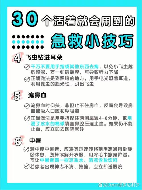 救护常识理论(救护知识500题)-第1张图片-牛逼常识网 救护常识理论(救护知识500题)-第1张图片-牛逼常识网